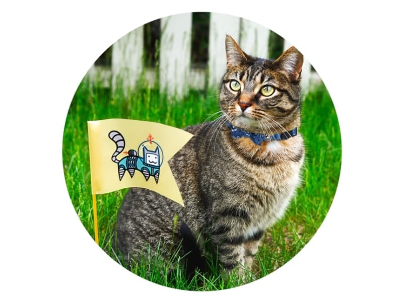 Cat collar with Bowknot red