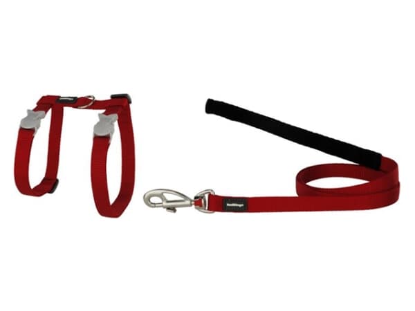 Red Dingo kattesele+line, rød