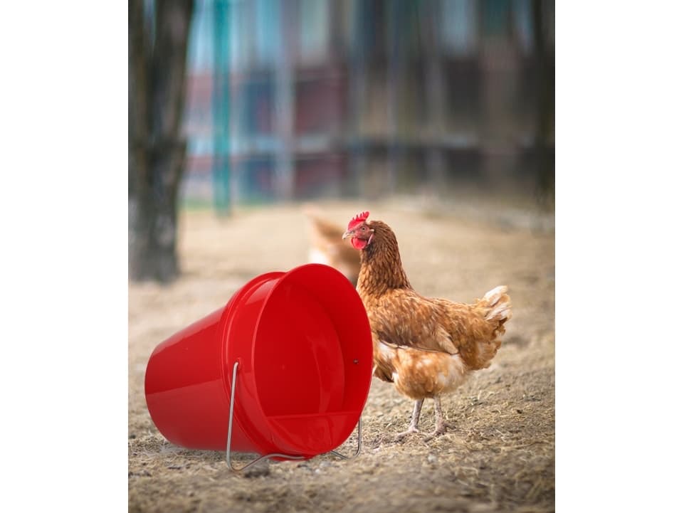 Poultry plastic drinking bucket 6 l red
