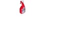 Miniatyrbild 5 av 5: NATURE'S MIRACLE Set-in Oxy Stain&amp;Odour Eliminator - Rengöringsspray - 709 ml