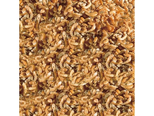 Sera sera raffy I Nature 1000ml