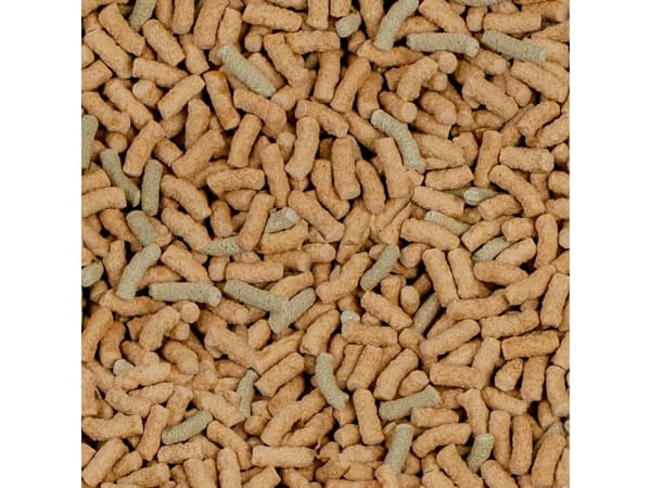 sera Raffy P Pellets, Växtätande reptil, Sköldpadda, Universal, 250 ml, 55 g, Tyskland
