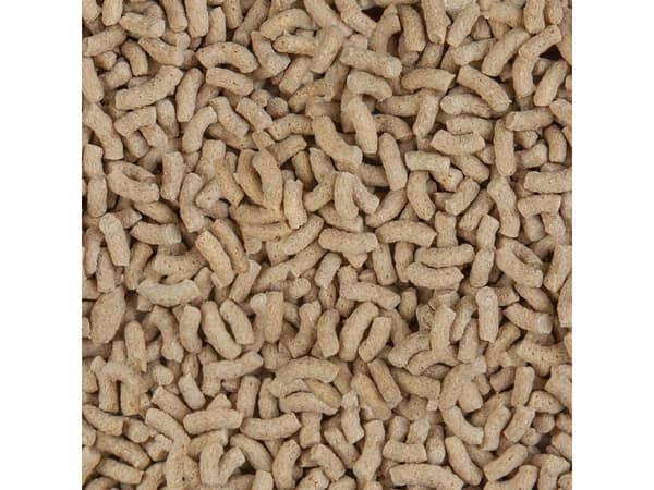 Sera Pond Color Sticks 10 l, granulat - färgfoder för dammfiskar