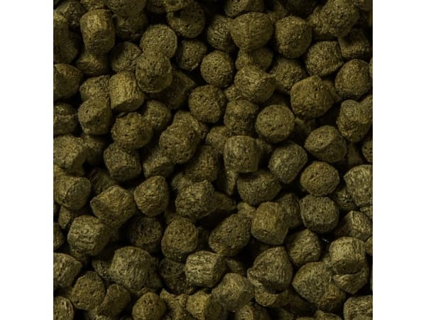 Sera Koi Color Large 21 l, granulat - pokarm postawowy dla Koi