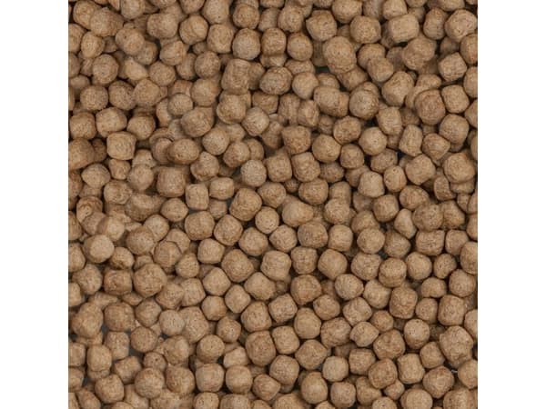 Sera Koi Royal Large 10 l, granulat - pokarm postawowy dla Koi