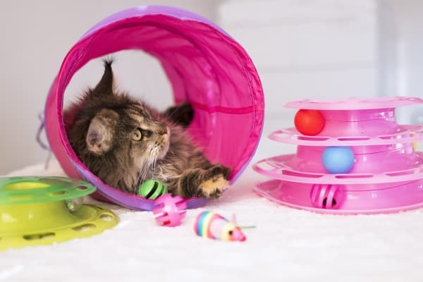 DOGMAN Cat Toy Tunnel Rosa 60cm 60cm