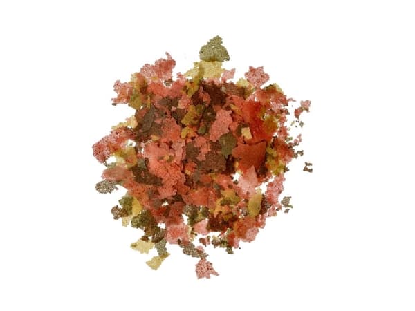 Dogman Main Food For Fish