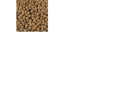 sera Professional Carnivor Nature, Grön leguan, Växtätande reptil, Sköldpadda, Universal, 1000 ml, 310 g
