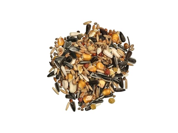 DOGMAN Biff og frøblanding papegøye 750g