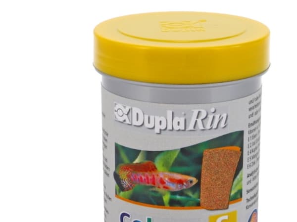 Dupla Rin Colour Fish Food S 180ml