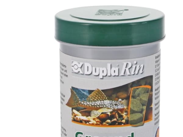 Dupla Rin Ground