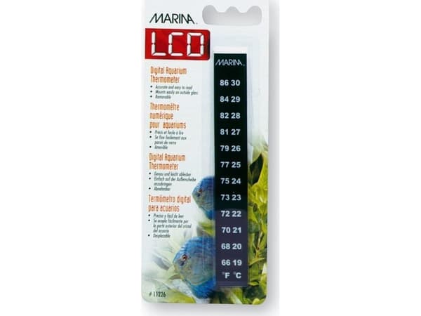 Marina Minerva LCD elektronisk termometer