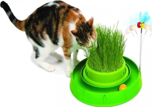 Catit Play 'n Scratch-bana med gräs, 4 x 36 x 39,5 cm, grön