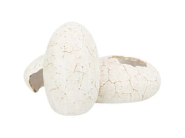 Trixie Reptile cave, eggs, polyester resin, 20 × 13 × 15 cm