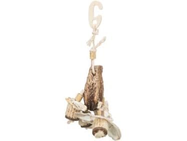 Trixie Natural toy, mahogany pod/sea shells, 26 cm