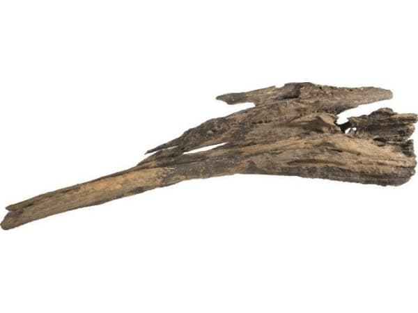 Terra Natura Lohikäärmepuun juurakko M-L 15-50cm