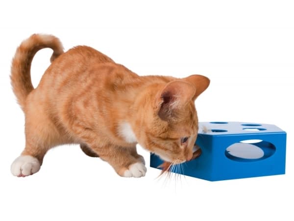 Trixie Drejende Fjer, plastik, ø 22 cm, blå