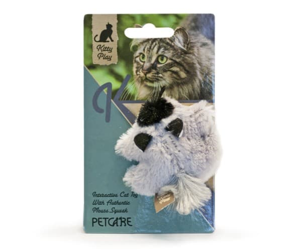 Kitty play squeaking racoon