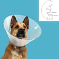 Miniatyrbild 2 av 2: Elizabethan Hundhalsband KVP Quick Fit Transparent