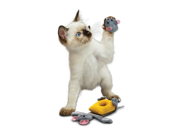 Kong Kattleksak Pull-a-partz Cheezy Flerfärgad 23cm