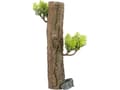 Miniatyrbild 1 av 5: Zolux ZOLUX FOREST XS aquarium decoration