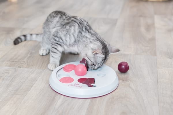 Trixie Cat Activity FlipBoard strategispil,ø23cm,berry/pink/lysegrå