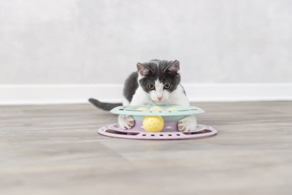 Trixie Junior legecirkel til killinger, ø 24 cm