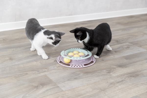 Trixie Junior legecirkel til killinger, ø 24 cm