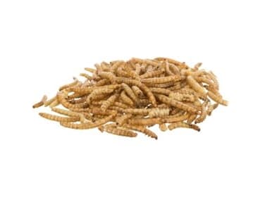 Trixie Mealworms, dried, 200 g - (5 pk/ps)