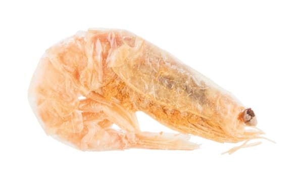 Trixie PREMIO Freeze Dried Shrimps, 25 g - (6 pk/ps)