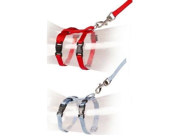 Duvo+ DUVO+ seler til kattunger rød/blå 15-25cm / 8mm-125cm