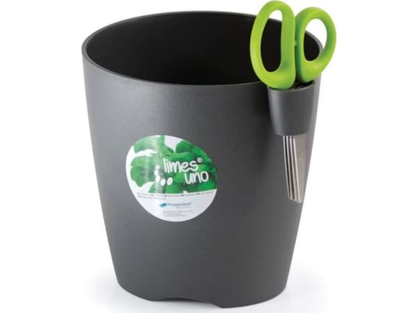 Prosperplast Limes Uno urtegryte med saks DLU150 grafitt