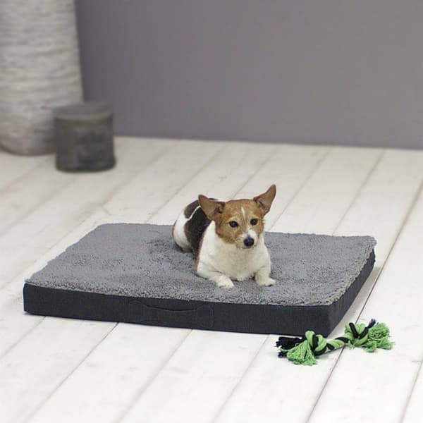 Sun Garden Buddy ortopedinen koiran tyyny 79x60x8cm harmaa/antrasiitti