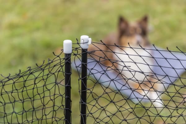 Trixie Mobile dog fence, 15 m, black