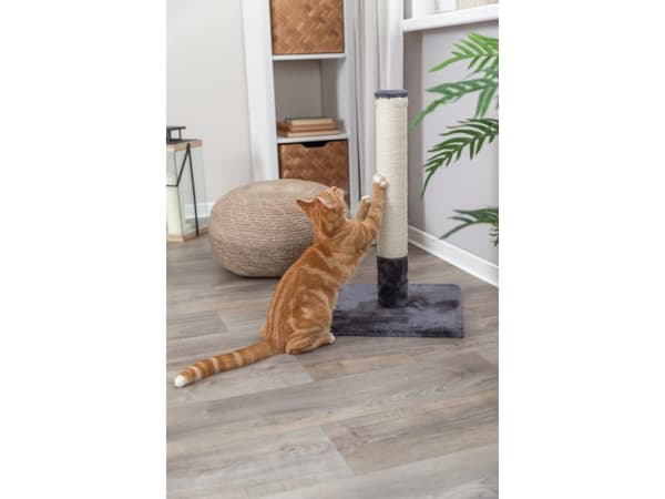 Trixie Batres scratching post, 62 cm, platinum grey