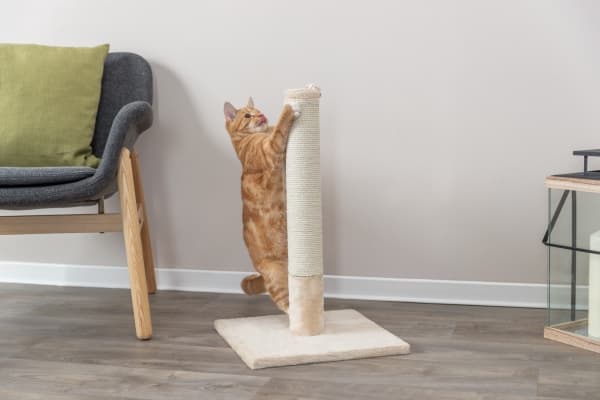 Trixie Batres scratching post, 62 cm, beige