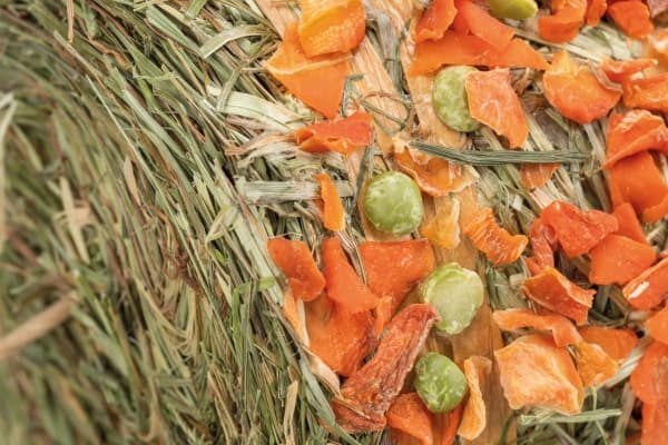 Trixie Hay pendulum for hanging with pea and carrot, 250 g - (9 pk/ps)
