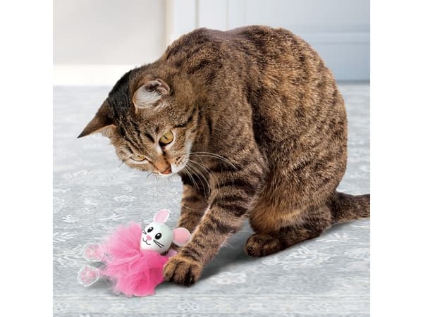 KONG KONG Flingaroo Tutu Assorted