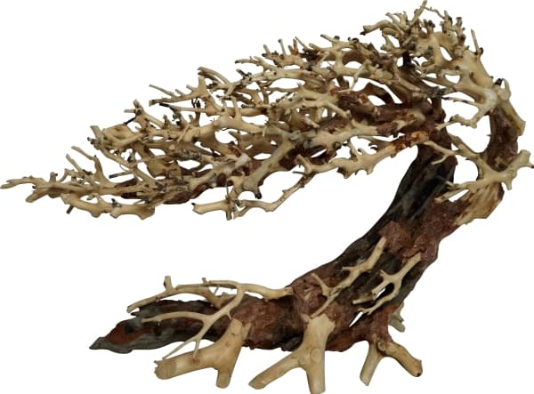 4FISH Trærødder, Elegant brasilian tree, 23x10x17 cm