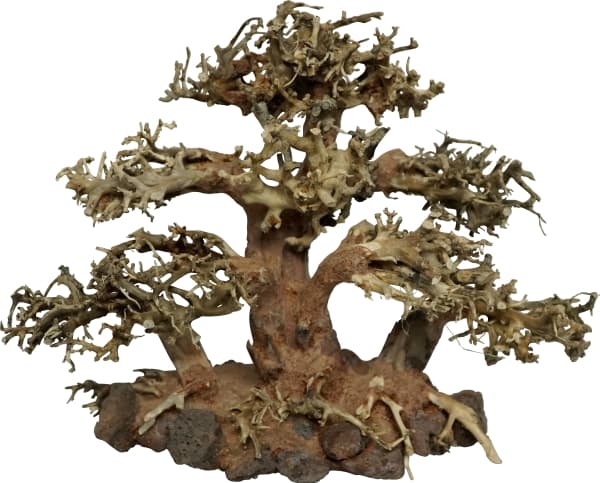 4FISH Trærødder, Tree Island, 20x10x15 cm