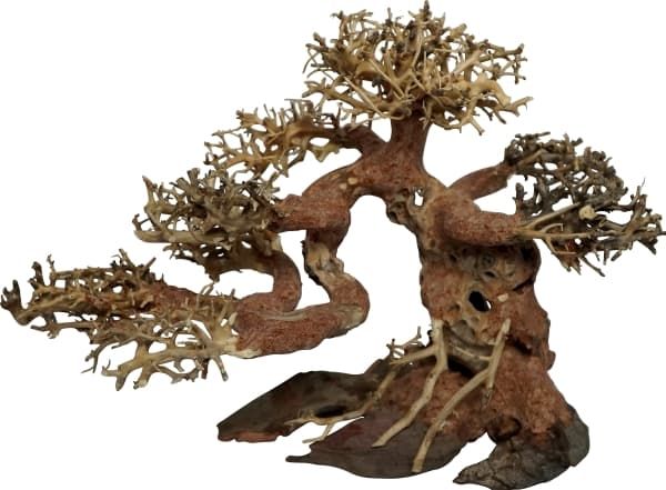 4FISH Trærødder, Bonsai, 30x15x23 cm