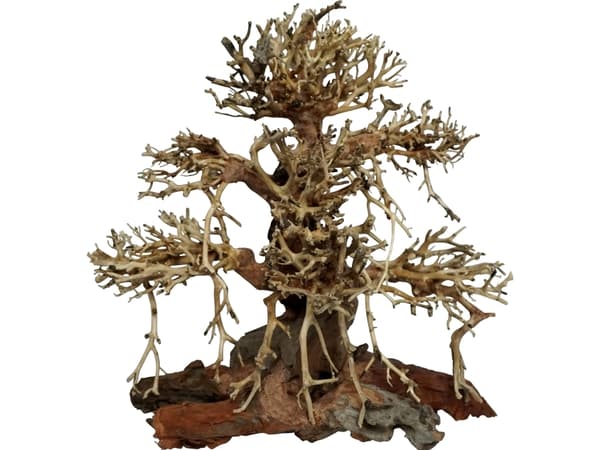 4FISH Trærødder, Old Bonsai, 30x15x30 cm