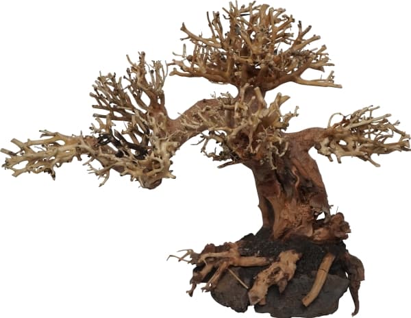 4FISH Trærødder, Peaceful Bonsai, 30x15x23 cm