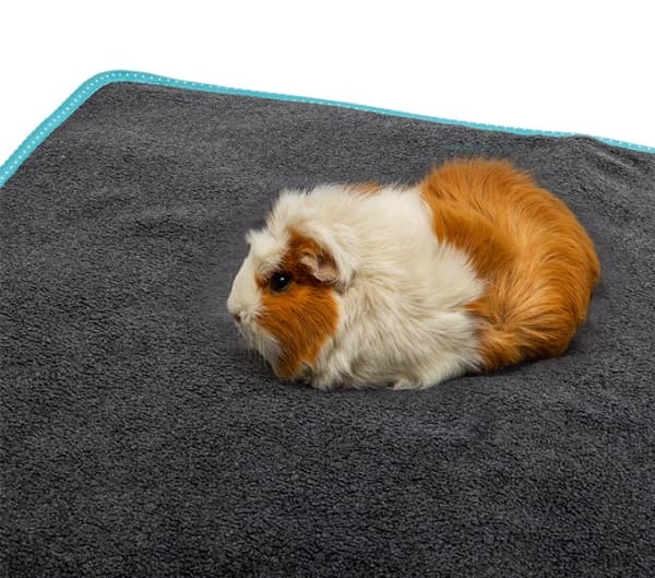 Bunny Nature 16081, Fiber, Fleece, Gerbil, Hamster, Mus, Kanin, Rotte