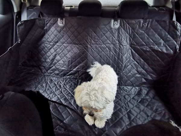 Vandtæt hunde bilmåttebetræk