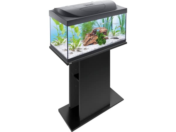 Tetra Starter Line Tank LED 54L, sort