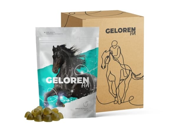 GELOREN Horse HA Joints - vitamiinit hevosille - 450g