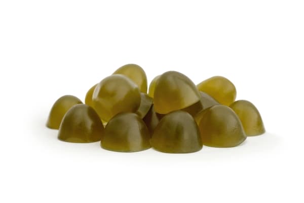 GELOREN Horse HA Joints - vitamiinit hevosille - 450g