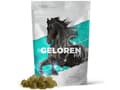 Pikkukuva 2 / 4: GELOREN Horse HA Joints - vitamiinit hevosille - 450g