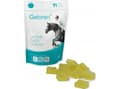 Pikkukuva 1 / 4: GELOREN Horse HA Joints - vitamiinit hevosille - 450g